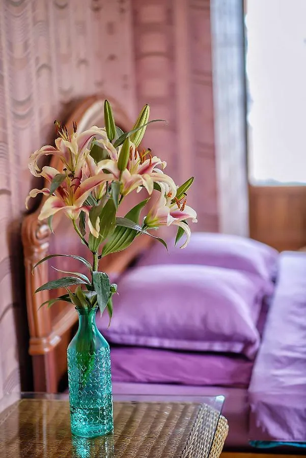 Skyside Apartment Tbilisi 0*,